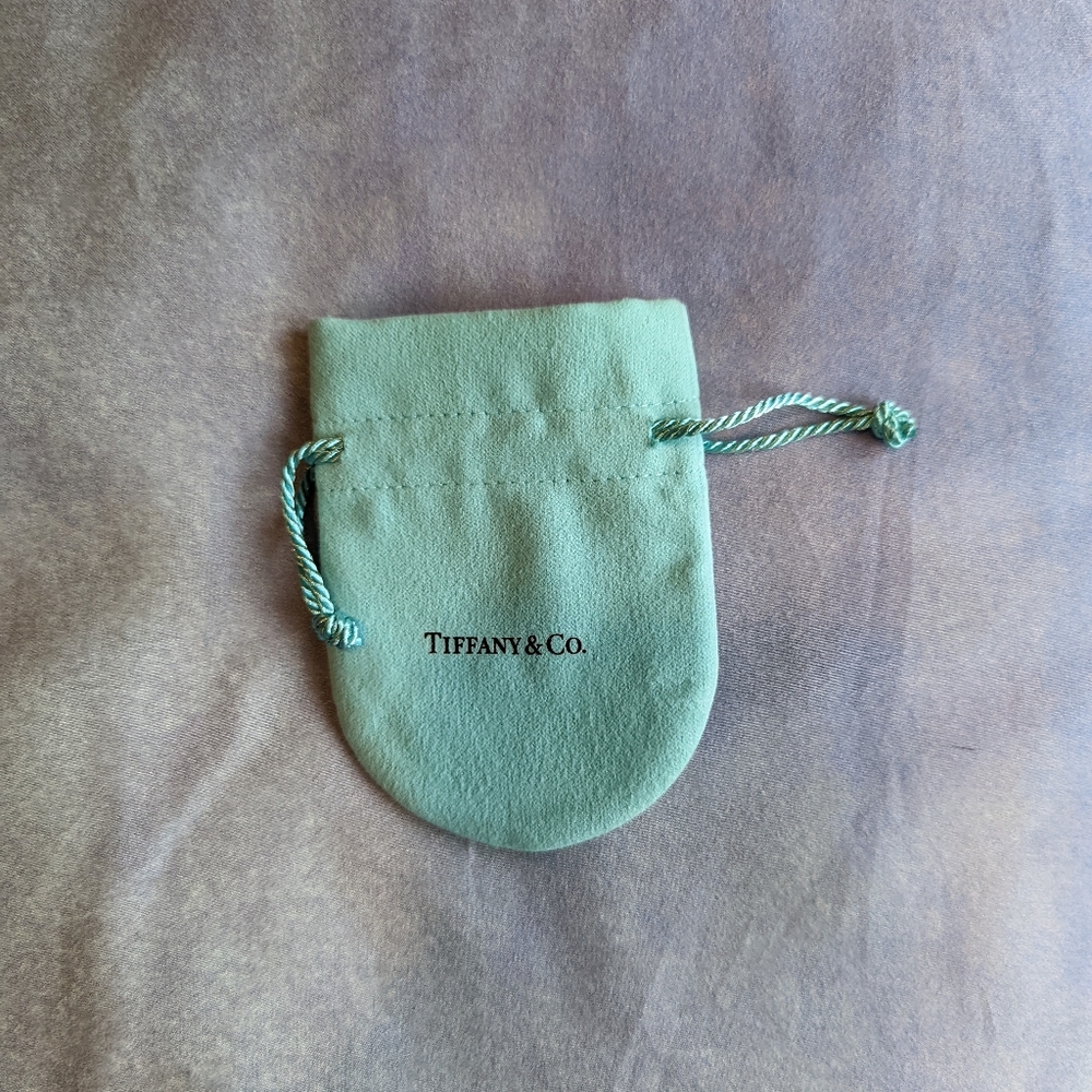 Authentic Tiffany & Co Travel Pouch